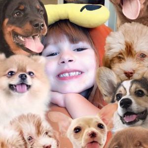 Meet your Posher, Gil